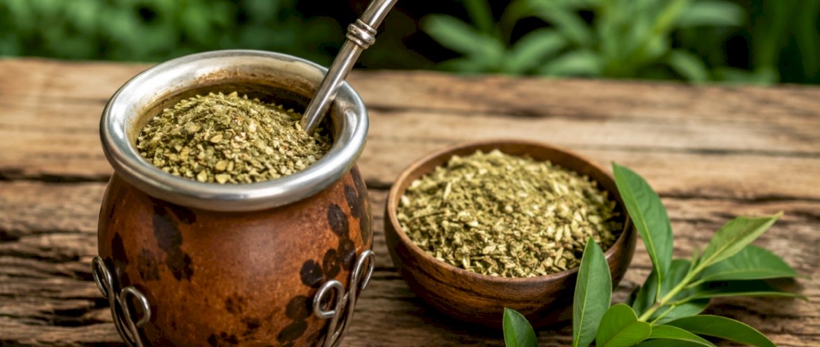 Mate tea